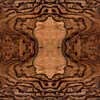 Burr Walnut