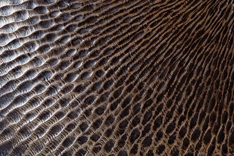 Liquid Metal Furniture | Davidson London | Luxury Furniture London